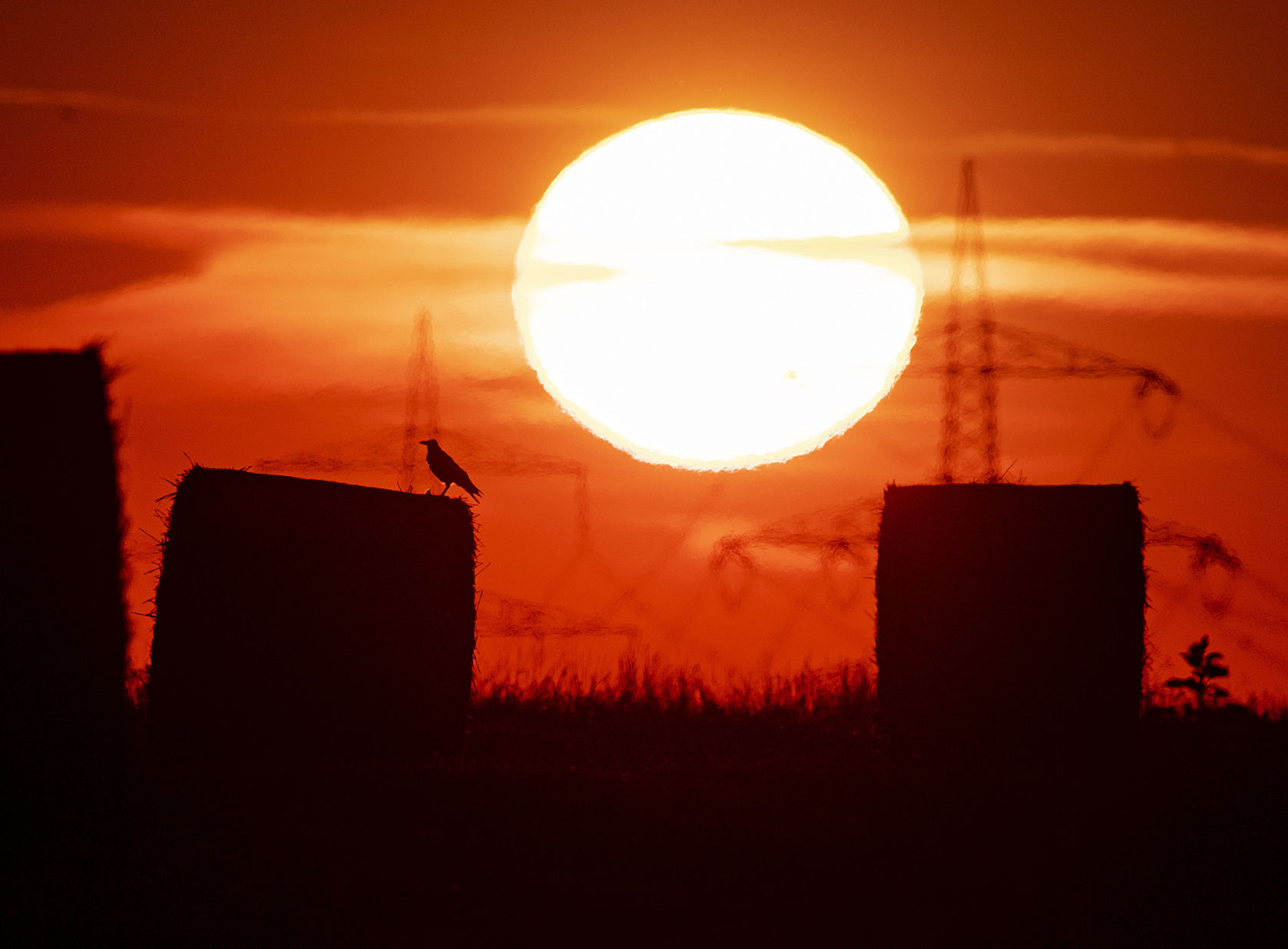 Germany July Heat Record